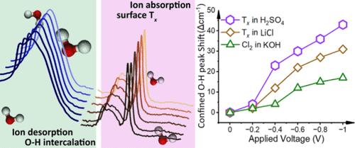 In Situ Raman and Fourier Transform Infrared Spectroscopy Studies of MXene−Electrolyte Interfaces