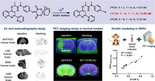 Radiofluorination of 2-Arylquinolin-4-yl Oxypropanamide Derivatives for TSPO Imaging in Neuroinflammatory Murine, Nonhuman Primates, and Human Brain Autoradiography with Insensitivity to the rs6971 Polymorphism
