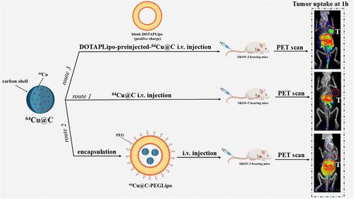 Approach to Chelating Radioactivity using Carbon Dots for Positron Emission Tomography Imaging