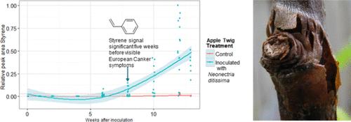 Sensing Disease in Apple Trees: Potential Signature Compounds for European Canker (<i>Neonectria ditissima</i>) Infection.