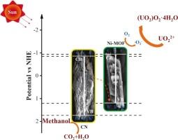 Photocatalytic reduction of uranium over a novel Z-scheme Ni-MOF/g-C3N4 heterojunction
