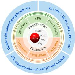Cu(II)-mediated homogeneous advanced oxidation processes: Characteristics, identification, and environmental applications of Cu(III)