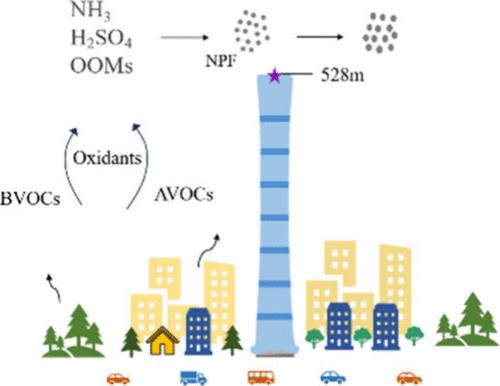 Oxygenated Organic Molecules over the Boundary Layer Aloft in Beijing