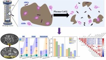 Synergistic effect on sludge disintegration and antibiotic resistance genes removal during sludge treatment by combined plasma-calcium peroxide
