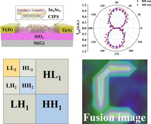 Wide Wavelength Band Responsive In2Se3/CIPS Heterojunction for Polarization Imaging Enhancement in Image Fusion