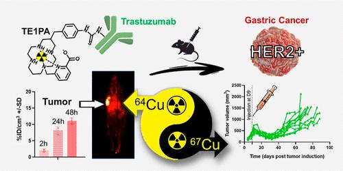 Advanced 64Cu/67Cu-Based Theranostics: Application of the Copper Chelator TE1PA to a Murine Model of HER2-Positive Gastric Cancer