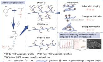 Harnessing graft-to polymerization for pulp reject-based flocculants: Chain-length dependent adsorption bridging drives efficient antibiotic removal