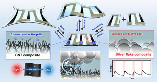 Self-Healing Stretchable Thermoelectric Polymer Composite with Bismuth Antimony Telluride and Single-Walled Carbon Nanotubes for Thermoreceptor-Inspired Modular Systems