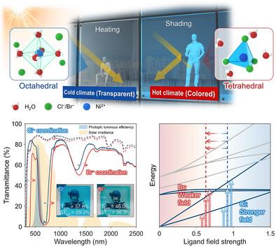 Hydrated Ionic Polymer with Optimized Halogen Ligand for Thermochromic Smart Windows: Enhanced Luminous Transmittance and Solar Modulation