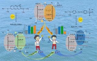 Heterojunction configuration-specific photocatalytic degradation of methyl orange and methylene blue dyes using ZnO-based nanocomposites