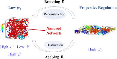 Computational strategy of dynamic nanorod networks for dielectric elastomer nanocomposites towards the balance of high permittivity, low modulus, and high breakdown strength