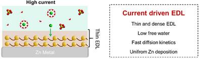 Regulating the Electric Double Layer Structures Driven by Current Density for High-Rate Aqueous Zinc Metal Batteries