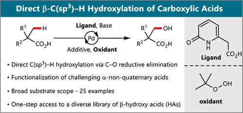 Direct Pd-Catalyzed β-C(sp3)–H Hydroxylation of Aliphatic Carboxylic Acids