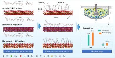 Selective separation of iron-bearing silicate minerals from hematite via a novel collector: surface interaction mechanistic investigation