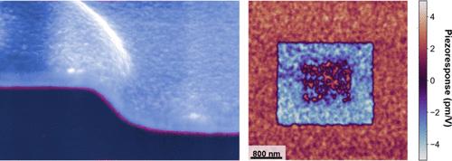 Ferroelectricity in Atomic Layer Deposited Wurtzite Zinc Magnesium Oxide Zn<sub>1-<i>x</i></sub>Mg<sub><i>x</i></sub>O.