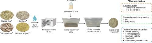 Effects of solid-state fermentation with Pleurotus ostreatus on the nutritional and techno-functional properties of alternative protein ingredients