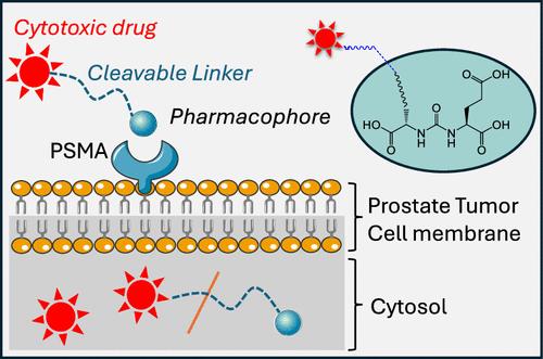 Prodrugs Targeting Prostate-Specific Membrane Antigen against Prostate Cancer