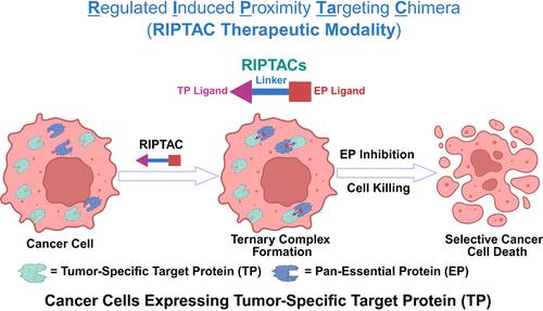 RIPTACs for Precision Cancer Therapy: A Novel Modality with the Inspiration of HLD-0915 as the First Candidate in Clinical Trials