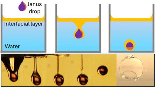Liquid–Liquid Encapsulation of Janus Drops
