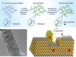 Defect-induced growth of MoS2 nanosheets on selectively etched SiC nanowires aerogel for efficient electrocatalytic hydrogen evolution