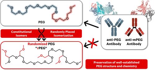 Isomerization of Poly(ethylene glycol): A Strategy for the Evasion of Anti-PEG Antibody Recognition