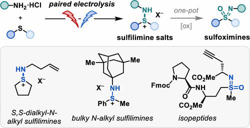 Chemoselective Electrochemical Coupling of Thioethers and Primary Amines for Accessing Sulfilimines and Sulfoximines