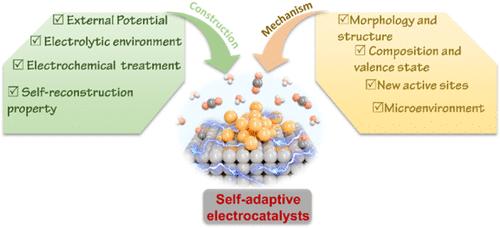 Self-Adaptive Catalysts for CO2 Electroreduction
