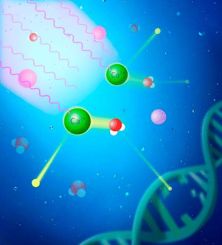 Site- and Energy-Selective Low-Energy Electron Emission by X-rays in the Aqueous Phase
