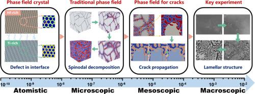 Multiscale phase-field simulation framework for spinodal decomposition behavior in composite carbide ceramics