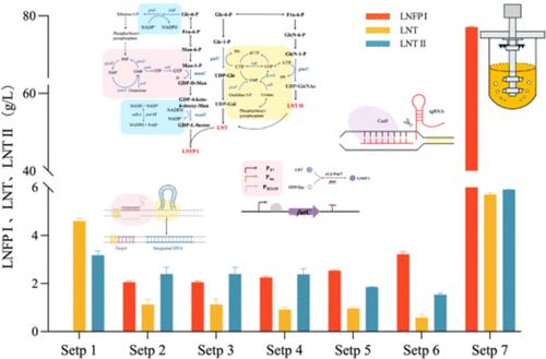 Multimodular Metabolic Engineering Strategy Enables High-Efficiency Synthesis of Lacto-N-fucopentaose I in Engineered Escherichia coli