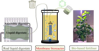 Valorisation of liquid anaerobic digestate into liquid fertilisers via membrane bioreactors: a proof-of-concept study