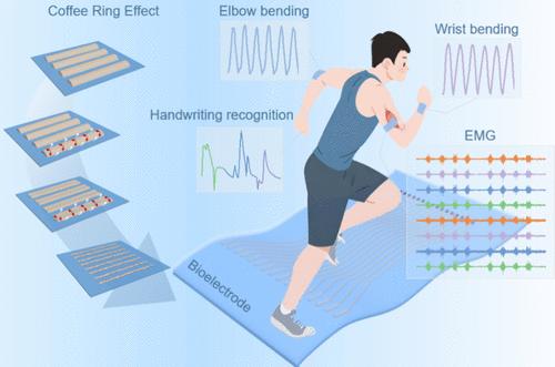 Coffee Ring Effect Induced Selective Wetting of Liquid Metal for High-Resolution Stretchable Bioelectrodes