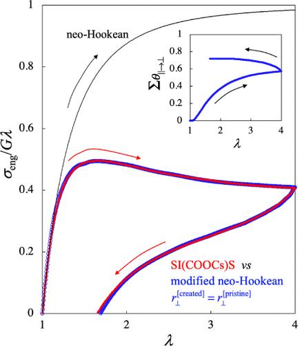 Mechanism of Nonlinear Energy Dissipation in Styrene–Isoprene–Styrene Triblock Elastomer Containing an Associative Network