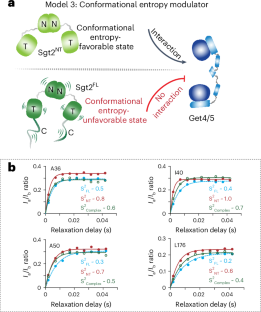 How protein disorder turns internal dynamics into a long-range regulatory switch
