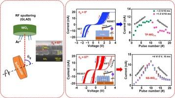 Enhanced bio-synaptic plasticity behaviour through controlled defect migration in nano-columnar WO3−x memristors