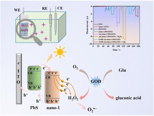 Rare-Earth-Encapsulated SIV–TeIV–Templated Polyoxotungstate for Photoelectrochemical Enzyme Biosensor for Glucose Detection