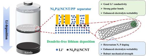 Lithiophilic Ni2P@NCNT Interlayer for Uniform Li-Ion Flux and Stable Lithium Metal Batteries
