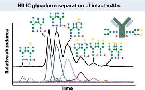 Hydrophilic Interaction Chromatography HRMS with Acrylamide Monolithic Columns: A Novel Approach for Intact Antibody Glycoform Characterization