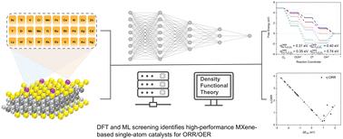 Machine learning-guided discovery of thermodynamically stable single-atom catalysts on functionalized MXenes for enhanced oxygen reduction and evolution reactions†