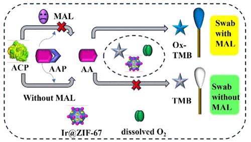 Facilely Fabricating Bimetallic Ir/Co Nanozymes with High Oxidize-like Activities for Sensitive Detection of Malathion with Portable Swabs