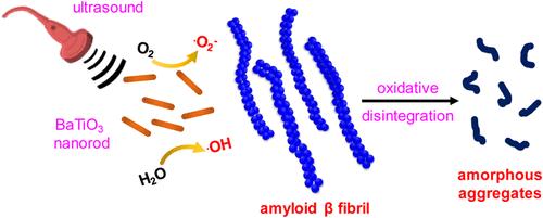 BaTiO3 Nanorod-Mediated Sono-Piezocatalytic Disintegration of Amyloid Fibrils