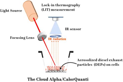 An Online Measurement Approach to Monitor the Deposition of Diesel Exhaust Particles on Lung Cells In Vitro