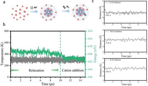 Correction to “Electrochemical Reduction of N2 to Ammonia Promoted by Hydrated Cation Ions: Mechanistic Insights from a Combined Computational and Experimental Study”