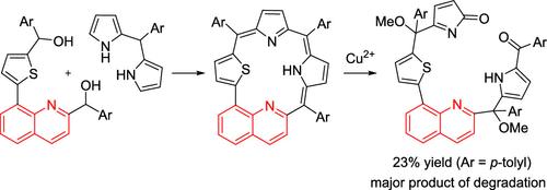 Quinoliporphyrin as an Aromatic Monoanionic Porphyrinoid and Its Degradation Promoted by Cu2+