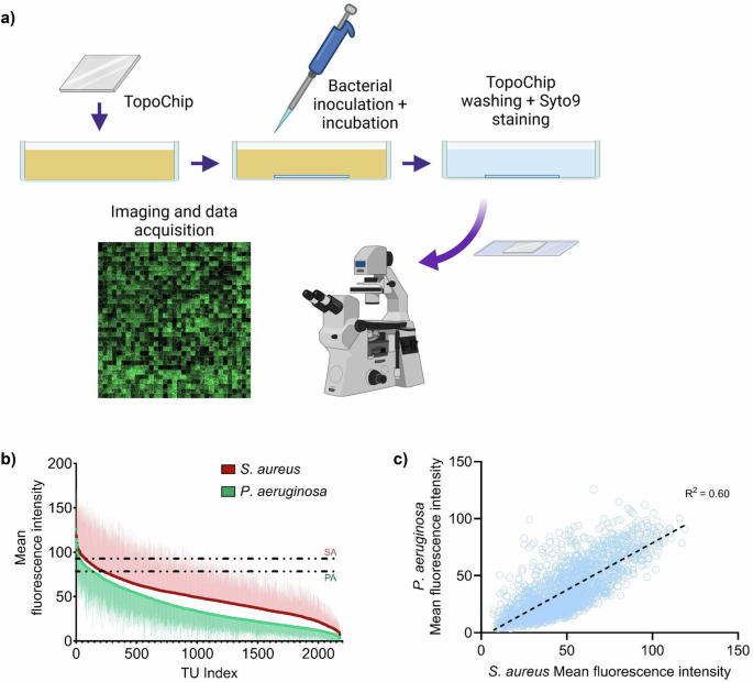 Combinatorial discovery of microtopographical landscapes that resist biofilm formation through quorum sensing mediated autolubrication