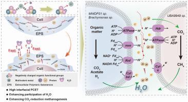 Enhancing the participation of water in the anaerobic digestion of sewage sludge for highly efficient methanogenesis