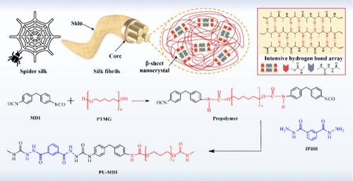 Mechanism Exploration of Spider-Silk-Inspired Multiple-Hydrogen-Bond Polyurethane Healable Elastomers for Anticorrosion