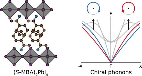 Chiral Phonons in 2D Halide Perovskites