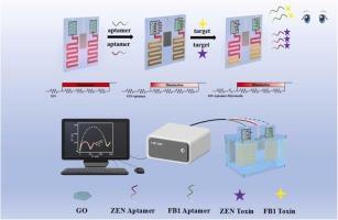 A portable visual/electrochemical dual-mode biosensing platform for simultaneous detection of two mycotoxins