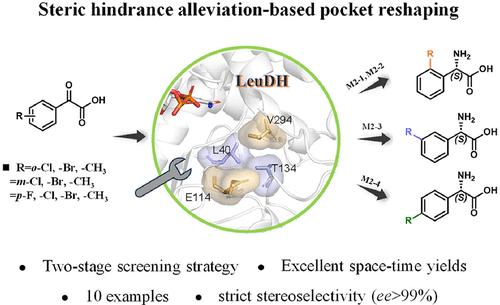 Reshaping the Substrate-Binding Pocket of Leucine Dehydrogenase for Efficient Synthesis of l-Phenylglycine and Its Substituted Derivatives